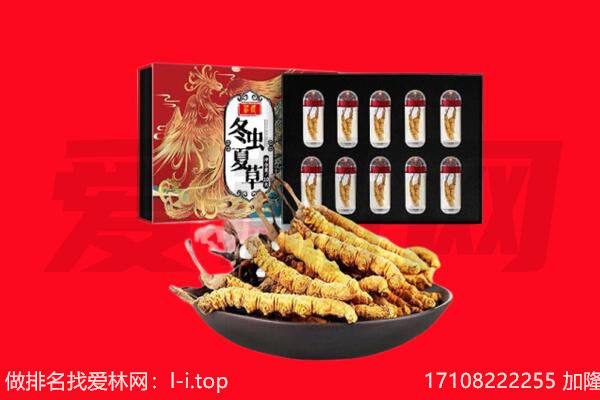 成都市青白江回收虫草.jpg